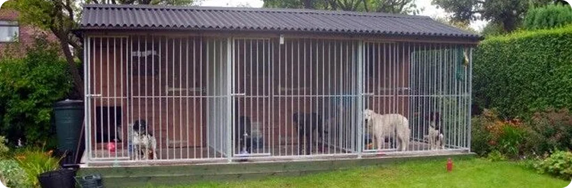 Outdoor dog house in Dubai with waterproof roofing