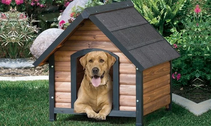 Wooden dog house in Dubai for pets comfort and safety